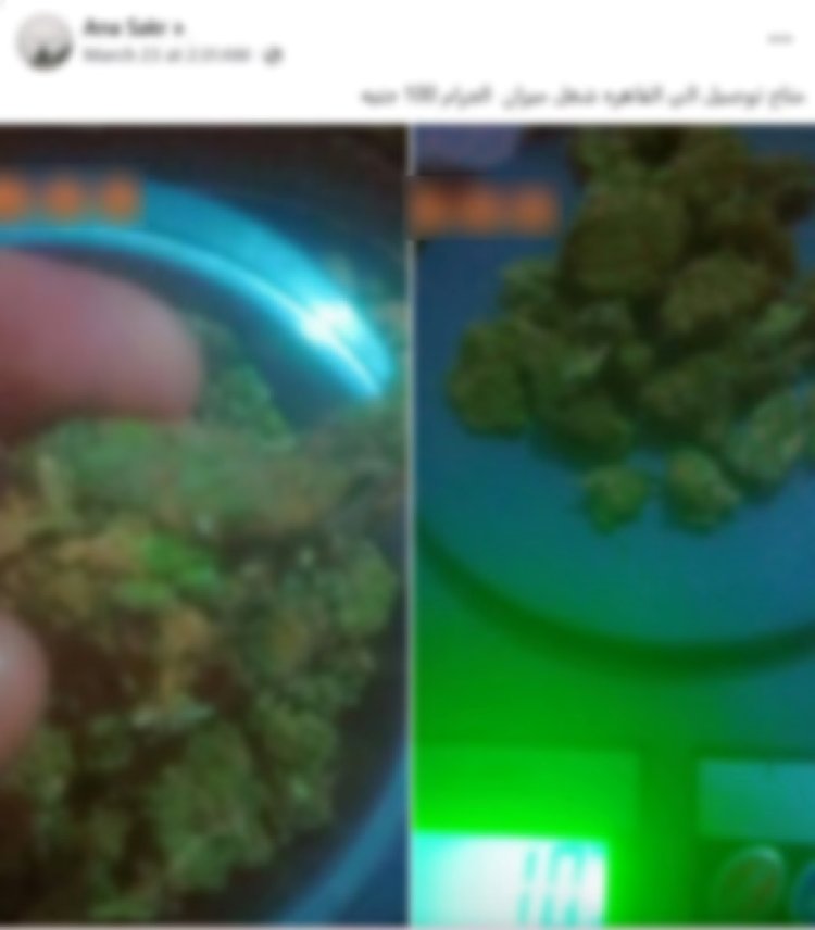 ضبط عاطل لإدارته صفحة على مواقع التواصل للترويج لبيع المواد المخدرة بالقليوبية