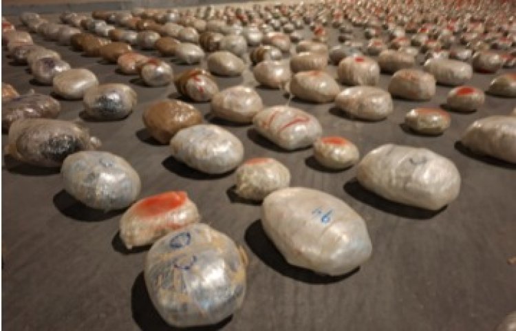 سقوط تشكيل عصابي بحوزته 1,5 طن هيدرو  وحشيش ثمنها 100 مليون جنيه بالإسماعيلية      (صور)