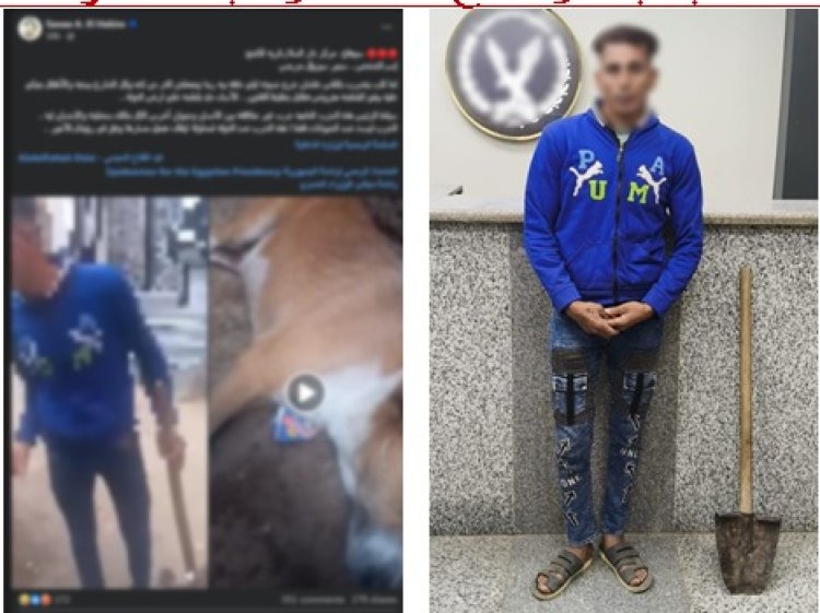 ضبط مزارع لتعديه على كلب باستخدام “كوريك” فى سوهاج 