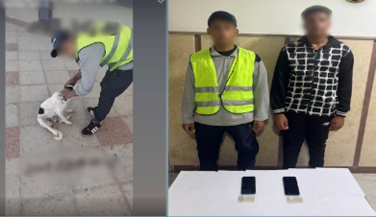 القبض على عامل بمحطة وقود وزميله لتصويرهم فيديو أثناء التعدي على كلب بمطروح 