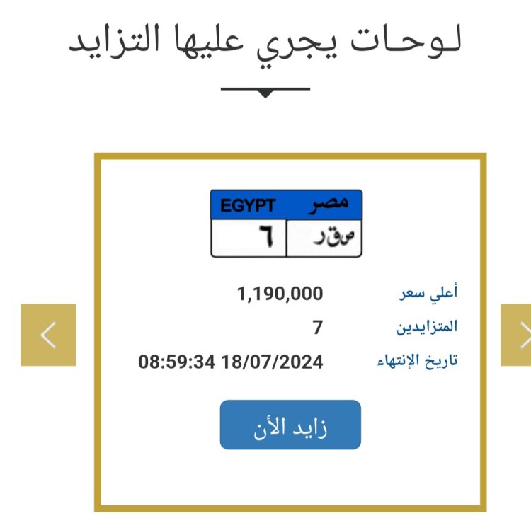 صقر بـ 1.2 مليون جنيه .. الداخلية تطرح لوحات معدنية مميزة 