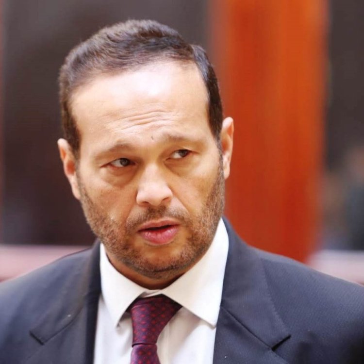 النائب محمد حلاوة رئيسًا للجنة الصناعة والتجارة بمجلس الشيوخ