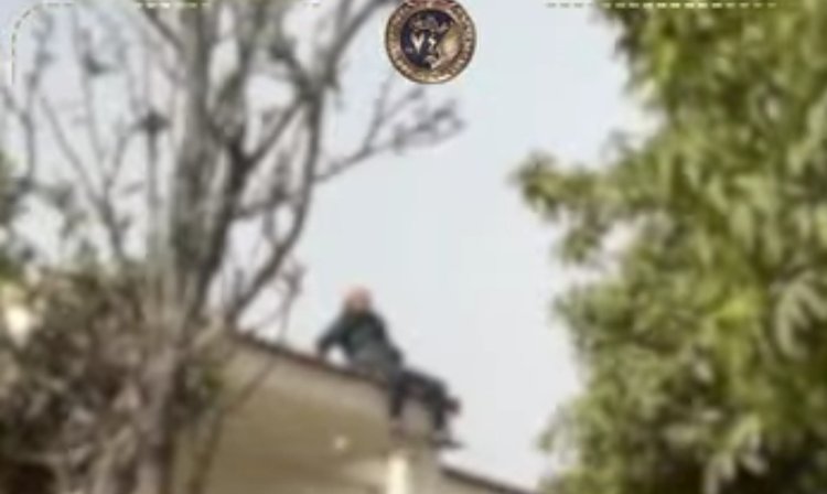 سقوط زعيم تشكيل عصابي من أعلى فيلا  بعد محاصرة قوات الشرطة له بالشيخ زايد