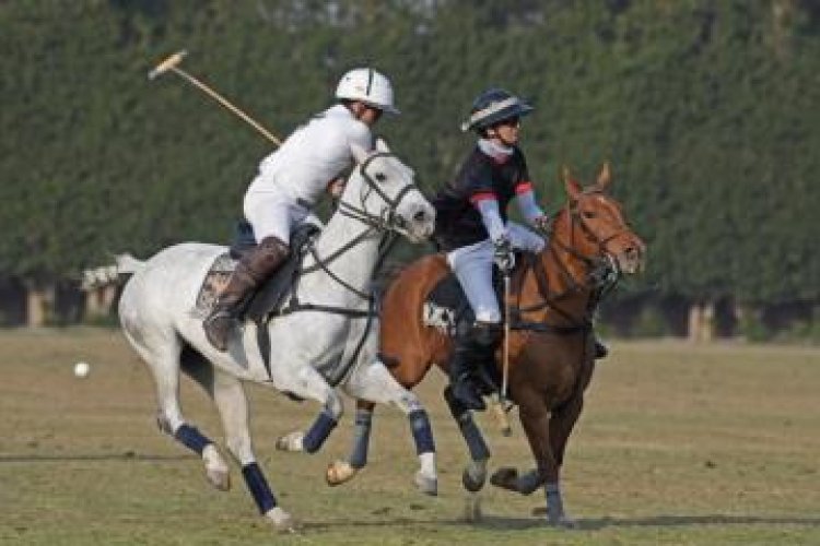 فريق وزارة الداخلية يحصد المركز الأول في بطولة الجمهورية لرياضة البولو للعام الثاني على التوالي