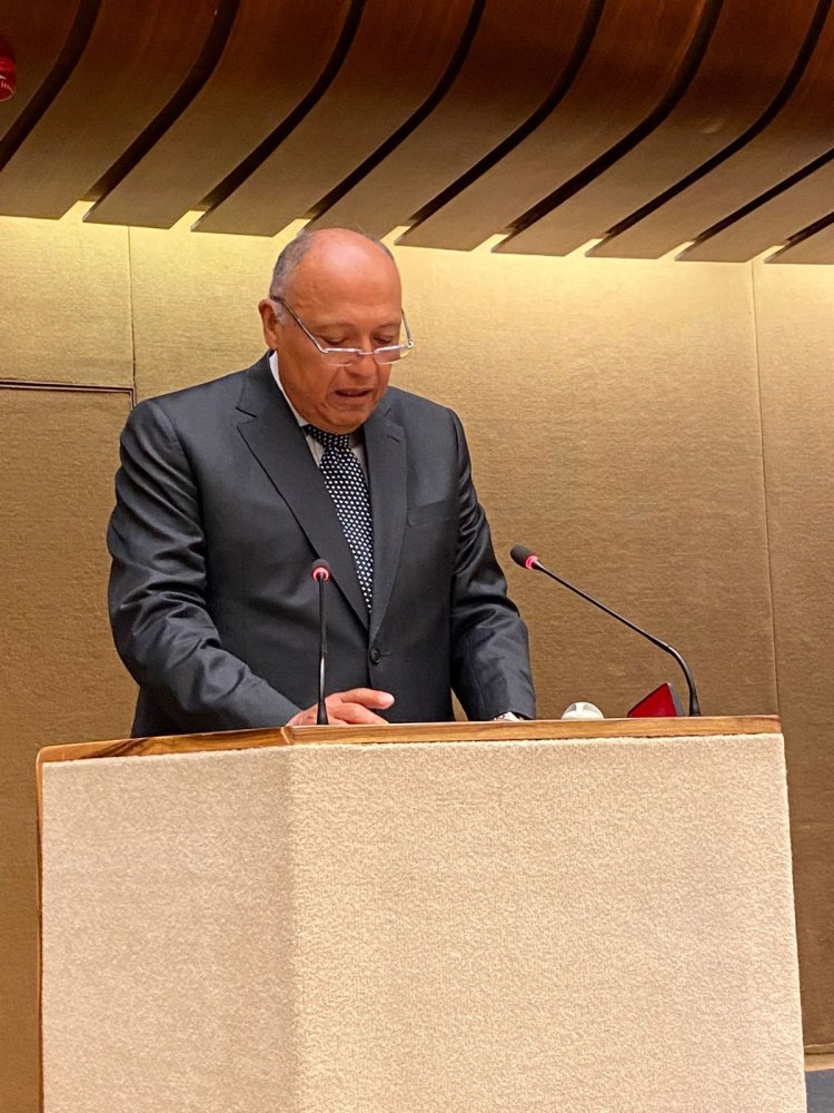 شكري: الدول النووية تتنصل من التزاماتها بنزع السلاح النووي