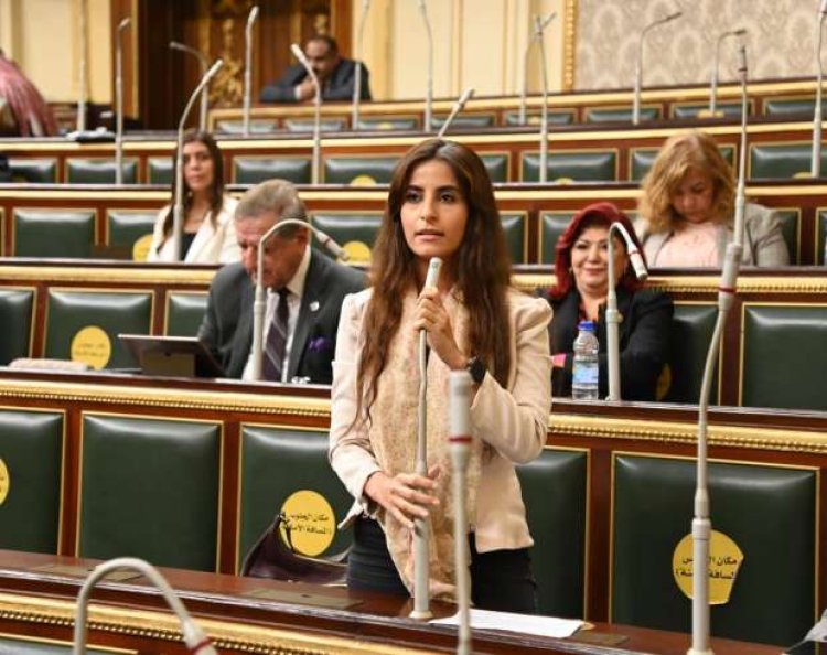 «برلمانية»: العشر سنوات الأخيرة شهدت تطورا فى العلاقات المصرية الأوروبية