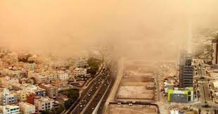 الكويت.. مقبرة للطيور في ظل حرارة تفوق 50 درجة مئوية