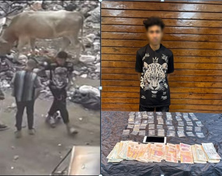 فيديو يقود الشرطة لضبط ديلر مخدرات في شبرا الخيمة 