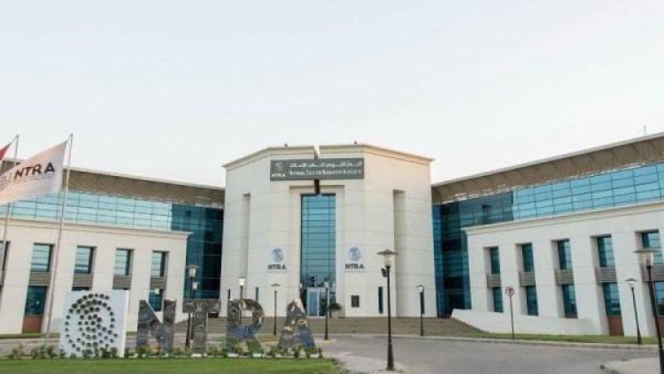 إحالة شركات المحمول الأربع للنيابة بسبب خطوط مسجلة بأسماء مستخدمين دون علمهم