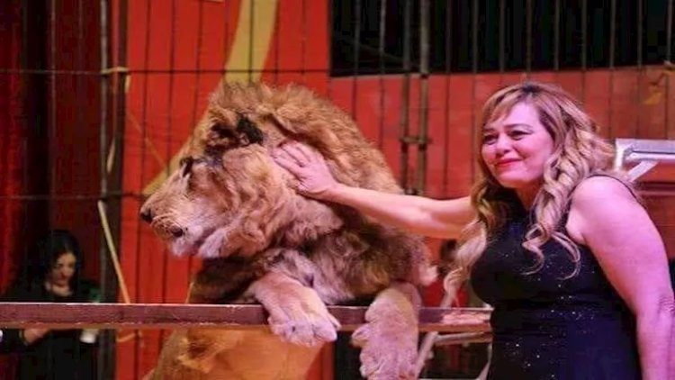 أشهر مدربة أسود في مصر.. فاتن الحلو تغادر المستشفى وتعود إلى دار إقامة كبار الفنانين