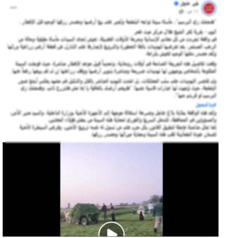 كشف حقيقة فيديو "سرقة المحاصيل" بالدقهلية.. نزاع على ملكية أرض وراء الواقعة