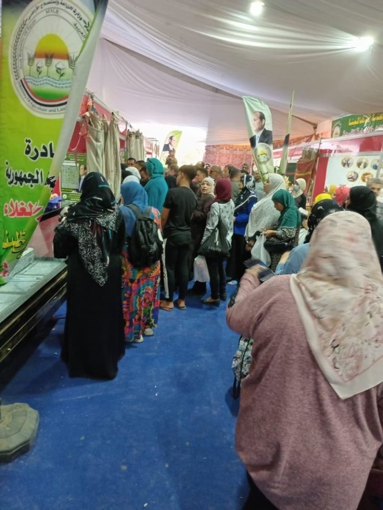 «الزراعة» تطرح بيض المائدة للبيع بـ140 جنيها للكرتونة