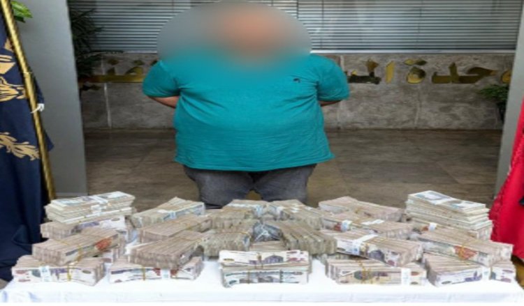 ضبط سائق لسرقته أموال طائلة من سيدة وموظف بالتجمع الأول