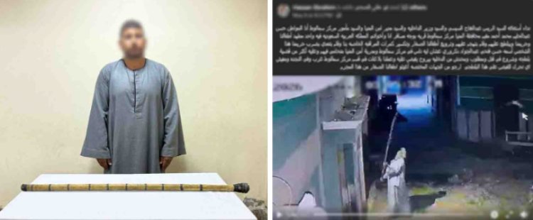 ضبط عامل حطم كاميرات مراقبة منزل بالمنيا بعصا خشبية بدعوى انتهاك الخصوصية