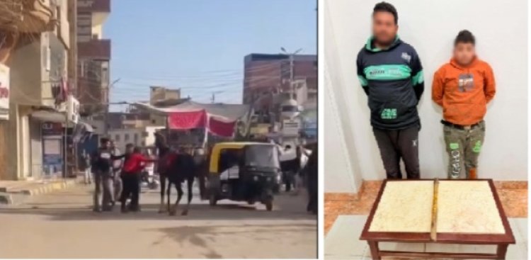 بسبب "فيديو العصا الخشبية".. أمن الغربية يضبط المتهمين بالاعتداء على "حصان" بالسنطة