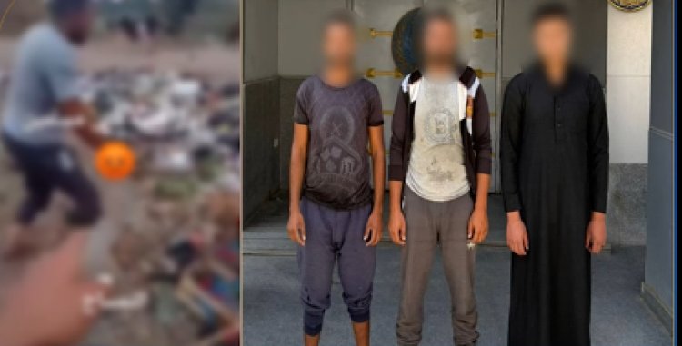 “بيعض البهايم”… القبض على  3 أشخاص بالتعدى على "كلب" فى الدقهلية 